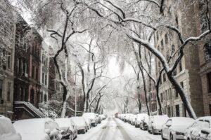 ¿Cómo actuar con la nieve? Consejos para afrontar el temporal
